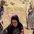 Zahra S Family And The Difficult Path Of Building A Place For Livestock In The Heart Of Nature