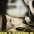 WWE The Golden Truth Theme What S Up