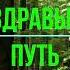 Диктор Георгий Схиигумен Савва Плоды истинного покаяния