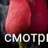 Любовные романы