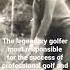 Walter Hagen Golf Shorts