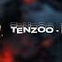 TENZOO BLOODY BRAZIL 1 HOUR