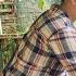 With Two Sons Help The Old Lady Neighbor Harvest Fruit To Sell DANG THI DU