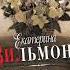 Аудиокнига Шалый малый Екатерина Вильям Вильмонт