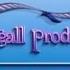 Stu Segall Productions Logo History