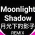 Moonlight Shadow DJ版 月光下的影子 Dana Winner Nhạc Hot TikTok Douyin 2023