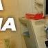 Огромная польза таурина как средства против старения преувеличена Новейшее исследование