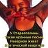 Ожидание реальность стереополина интерьер ожиданиеиреальность ремонт
