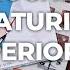 Baum Kuchen Unboxing Feat Superior Labor Journal Fountain Pen Items 1 61 Soft Goods More