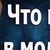 Наши молитвы Исследуйте себя Не проси у Царя навоза Протоиерей Андрей Ткачёв