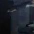 Peter Pan You Can Fly