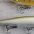 Top 6 Topwater Baits Every Bass Angler Needs To Know Bass Fishing