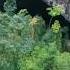 The World S Largest Cave Hang Son Doong