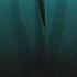 Imagine Hearing This Animal In A Dark Forest Prehistoric Quetzalcoatlus Dinosaur Scary Animals