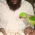 Mithu K Liya Egg AA Gay Parrot Talkingparot Greenparrot Talkingparrot Parrotlover Mitho