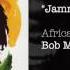 Jamming Africa Unite 2005 Bob Marley The Wailers