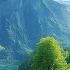 Healing Music For The Heart And Blood Vessels Calms The Nervous System And Pleases The Soul 2