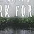 Dark Forest Dark Misty Ambient Music