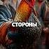 Суд над петухом в Базеле правда или вымысел