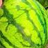 Taste Is Very Good Rock Sugar Kirin Thin Skin Watermelon Eat Watermelon Together