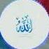 A Beautiful Arabic Nasheed By Majid Aldathary