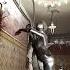 152 Нечаев и Храз нашли Петрова Atomic Heart
