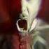 Die Antwoord Baby S On Fire Metal Cover By Leo Moracchioli