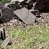Cemetery 59 2025 Eminem Lil Wayne Tech N9ne Type Beat 120bpm Rap Instrumental Beats Shorts Music