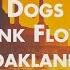 Pink Floyd Dogs Live At Oakland