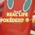 A Real Life Pokémon Pokédex Should I Catch All 500 Available Pokémon