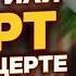 Устькаманские амазонки торт в подарок и поворот не туда МЕРКУЛЬ ИМПРОВИЗАЦИЯ 54