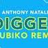 Anthony Natale Digger Qubiko Remix Official Audio Video