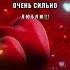 Регина Я без тебя не могу жить я тебя очень сильно люблю
