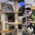 Furball Farm Cat Sanctuary Anitas Grand Tour