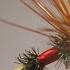 The MOST Iconic American Dry Fly The Royal Coachman