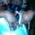 VCheney Ft Young Ruthless Ft Chris Brown Don T Judge Me Remix Avi