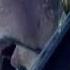 Apocalyptica Stormy Wagner Official Live Video Clip