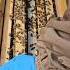 Queen Rearing Nutrition Pollen And Nectar Placement For Grafting Success Bee Beekeeping Fyp