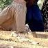 Dark Secret Fatima S Finding In A Scary Pit And Behnam S Anger At Yaqoob In Front Of The Big Tree