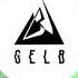 GELB Toxine Electronic