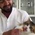 Böyle Bir Iştah Yok Cat Turkishcat Cats Kedi Funnyvideo Funnycats Animals Funny