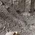 Archaeology News Final Moments Of Pompeii Family Uncovered Historicaltidbits