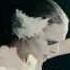 The Black Swan Opening Dance