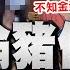 全程字幕 還原淪豬仔經過 女大生上車驚覺 完了回不去了 談條件放人 最強里長 超猛人脈 火速救援
