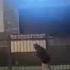 Woman Purportedly Returning To Apartment Shot By Less Lethal Ammunition In LA