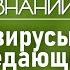 Почему пандемия COVID 19 не последняя для человечества Лекция вирусолога Андрея Девяткина