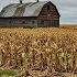 BREAKING 94 Of U S Farm Exports COLLAPSE America S Farm System Is Falling Apart