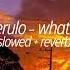 Jason Derulo Whatcha Say Slowed Reverb