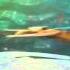 Ice Age 4 Continential Drift International Teaser