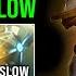 WTF Right Click Omniknight 125 Move Slow Eye Of Skadi Purity Hammer Vs Hard Counter Dota 2